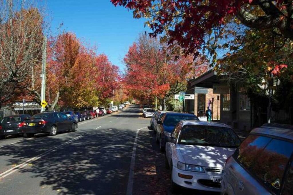 Nuach Cottage - Beautiful Family Home In Leura Buitenkant foto